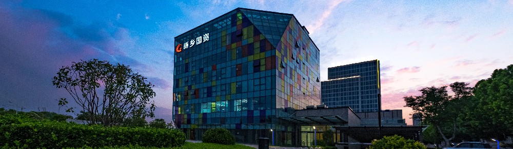 国资集团大楼.jpg
